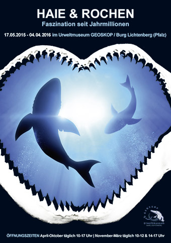 Plakat Haie und Rochen